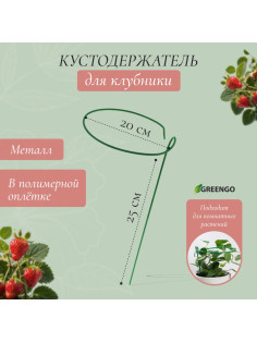 Кустодержатель для клубники, d=20 см, h=25 см, ножка d=0.3 см, металл, зелёный, Greengo