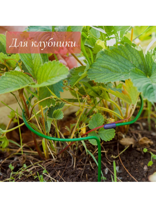 Кустодержатель для клубники, d=20 см, h=25 см, ножка d=0.3 см, металл, зелёный, Greengo