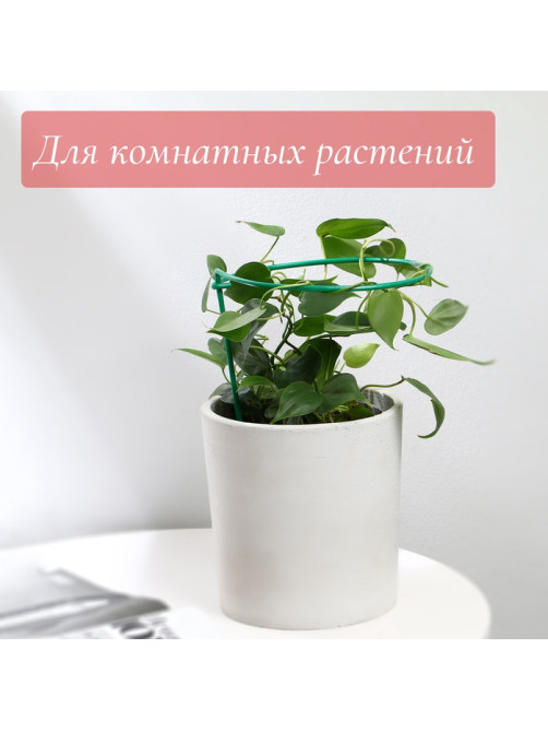 Кустодержатель для клубники, d=15 см, h=25 см, ножка d=0.3 см, металл, зелёный, Greengo