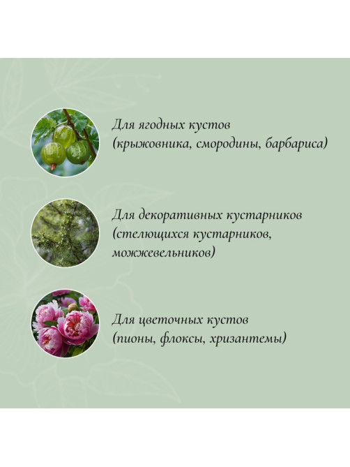 Кустодержатель, d=30 см, h=60 см, ножка d=0.3 см, металл, набор 2 шт., зелёный, Greengo