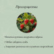 Кустодержатель для клубники, d=20 см, h=25 см, ножка d=0.3 см, металл, зелёный, Greengo