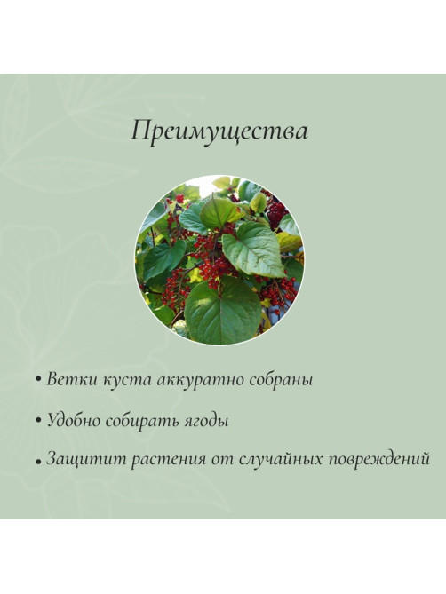 Кустодержатель, d=30 см, h=60 см, ножка d=0.3 см, металл, набор 2 шт., зелёный, Greengo