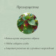 Кустодержатель, d=30 см, h=60 см, ножка d=0.3 см, металл, набор 2 шт., зелёный, Greengo