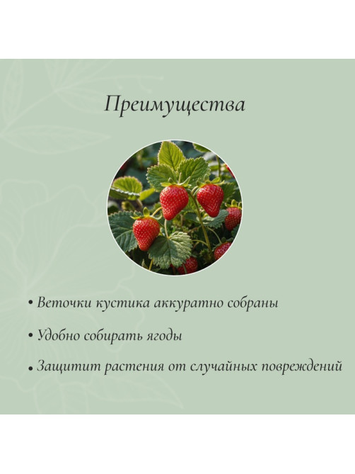 Кустодержатель для клубники, d=15 см, h=25 см, ножка d=0.3 см, металл, зелёный, Greengo