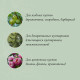 Кустодержатель, d=40 см, h=60 см, ножка d=0.3 см, металл, набор 2 шт., зелёный, Greengo