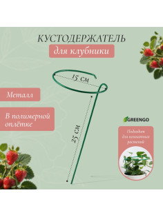 Кустодержатель для клубники, d=15 см, h=25 см, ножка d=0.3 см, металл, зелёный, Greengo