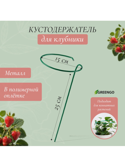 Кустодержатель для клубники, d=15 см, h=25 см, ножка d=0.3 см, металл, зелёный, Greengo
