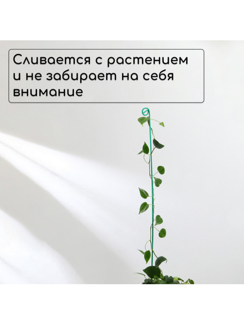 Колышек для подвязки растений, h=100 см, d=3 мм см, проволочный, зелёный, Greengo