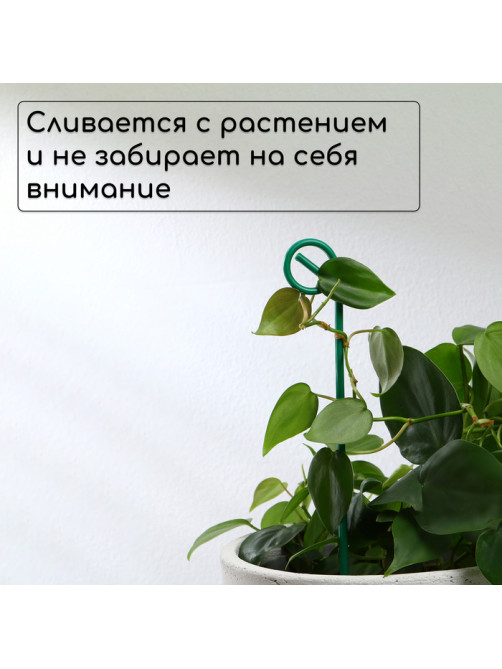 Колышек для подвязки растений, h=30 см, d=3 мм, проволочный, зелёный, Greengo