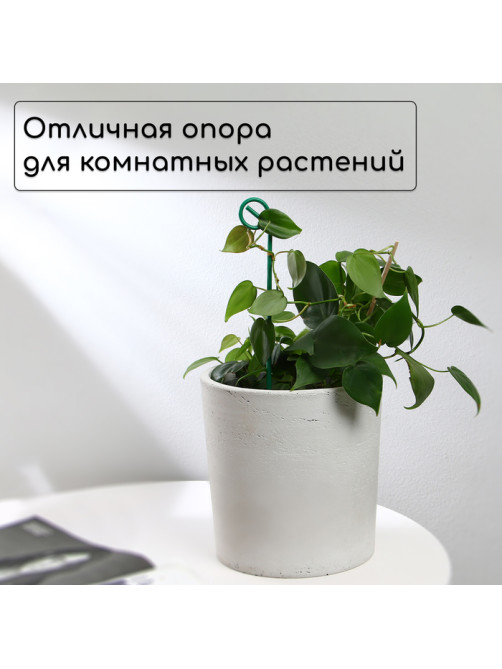 Колышек для подвязки растений, h=30 см, d=3 мм, проволочный, зелёный, Greengo