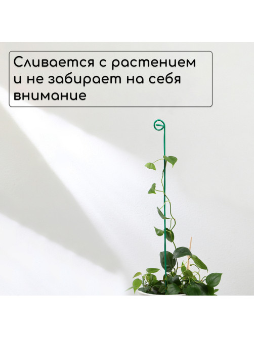 Колышек для подвязки растений, h=60 см, d=3 мм см, проволочный, зелёный, Greengo