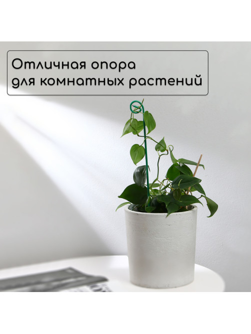 Колышек для подвязки растений, h=40 см, d=3 мм см, проволочный, зелёный, Greengo