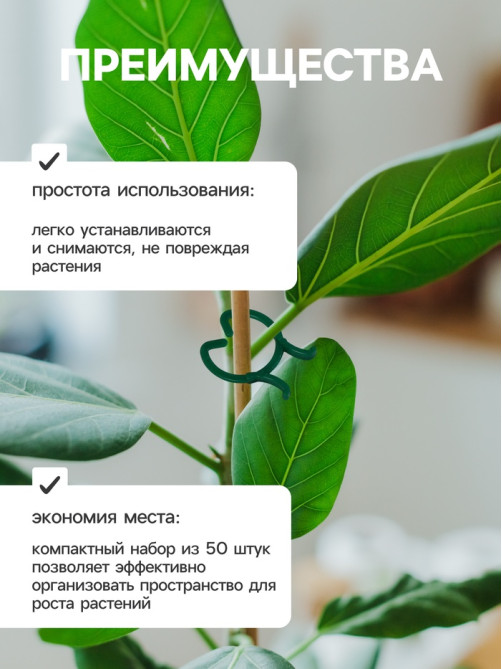 Набор креплений для растений, набор 50 шт., Greengo