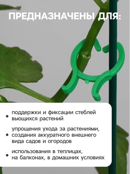 Набор креплений для растений, набор 50 шт., Greengo