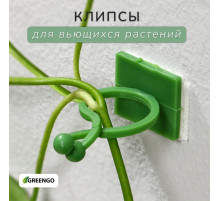 Крепления для вьющихся растений, самоклеящиеся, d=20 мм, цвет МИКС, Greengo