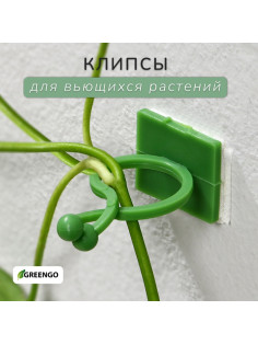 Крепления для вьющихся растений, самоклеящиеся, d=20 мм, цвет МИКС, Greengo