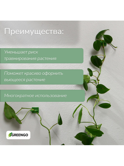 Крепления для вьющихся растений, самоклеящиеся, d=15 мм, цвет МИКС, Greengo