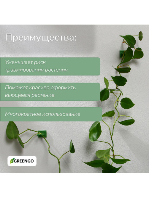 Крепления для вьющихся растений, самоклеящиеся, d=9 мм, цвет МИКС, Greengo