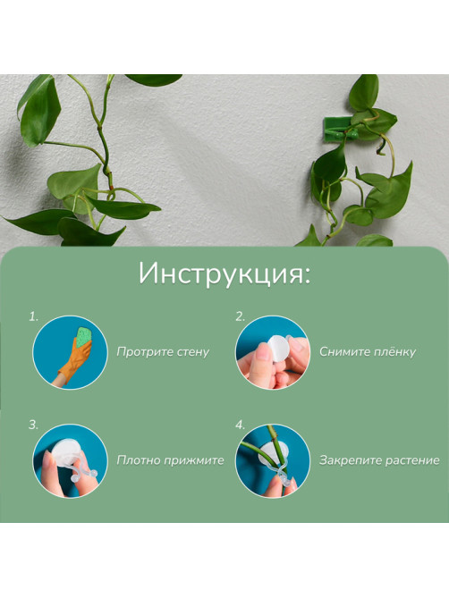Крепления для вьющихся растений, самоклеящиеся, d=15 мм, цвет МИКС, Greengo