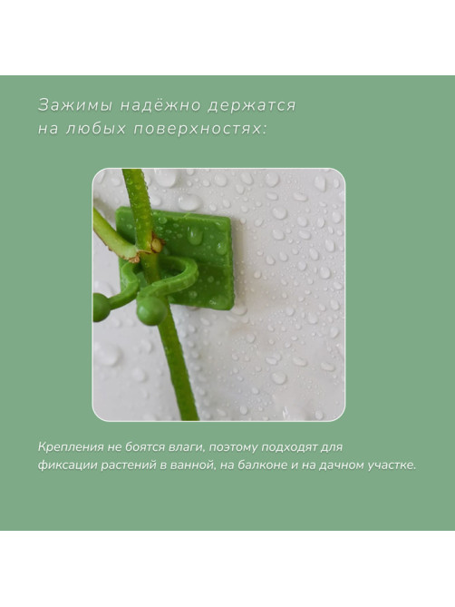 Крепления для вьющихся растений, самоклеящиеся, d=20 мм, цвет МИКС, Greengo