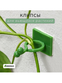 Крепления для вьющихся растений, самоклеящиеся, d=15 мм, цвет МИКС, Greengo