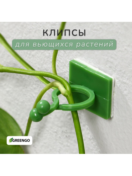 Крепления для вьющихся растений, самоклеящиеся, d=15 мм, цвет МИКС, Greengo