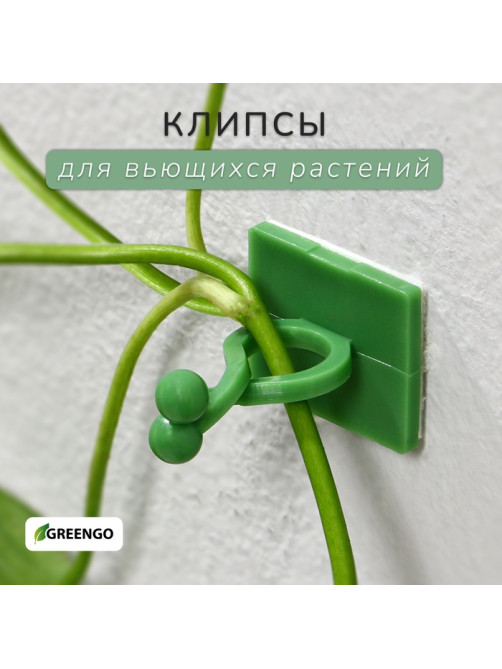 Крепления для вьющихся растений, самоклеящиеся, d=9 мм, цвет МИКС, Greengo