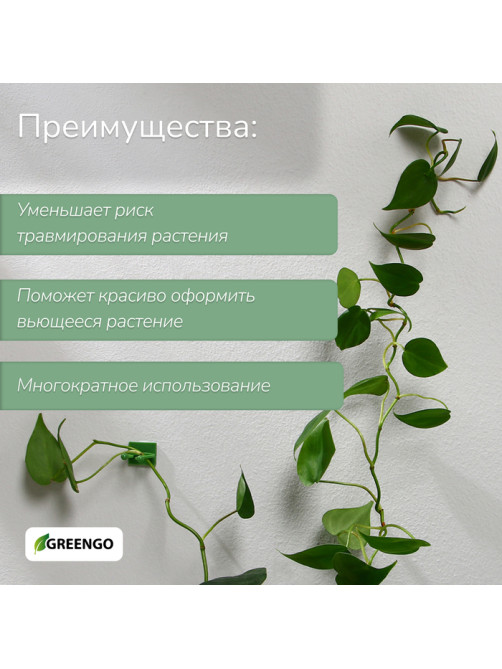 Крепления для вьющихся растений, самоклеящиеся, d=20 мм, цвет МИКС, Greengo