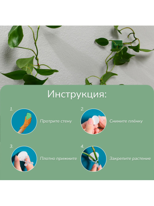 Крепления для вьющихся растений, самоклеящиеся, d=9 мм, цвет МИКС, Greengo