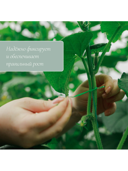 Проволока подвязочная, 50 м, зелёная, Greengo