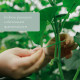 Проволока подвязочная, 100 м, зелёная, Greengo