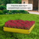 Клумба оцинкованная, 50×50×15 см, жёлтая, «Квадро», Greengo
