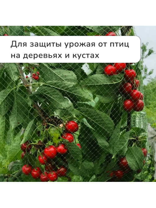 Сетка садовая, мягкая, 5×4 м, ячейка 15×15 мм, от птиц, Greengo