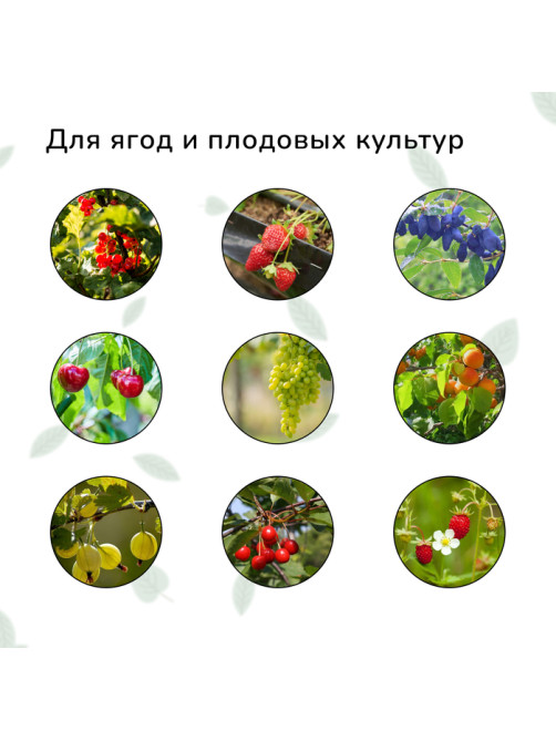 Сетка садовая, мягкая, 10×4 м, ячейка 15×15 мм, от птиц, Greengo