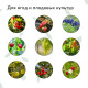 Сетка садовая, мягкая, 5×4 м, ячейка 15×15 мм, от птиц, Greengo