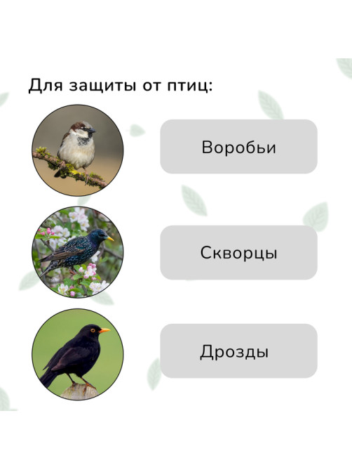 Сетка садовая, мягкая, 10×2 м, ячейка 8×8 мм, от птиц, Greengo