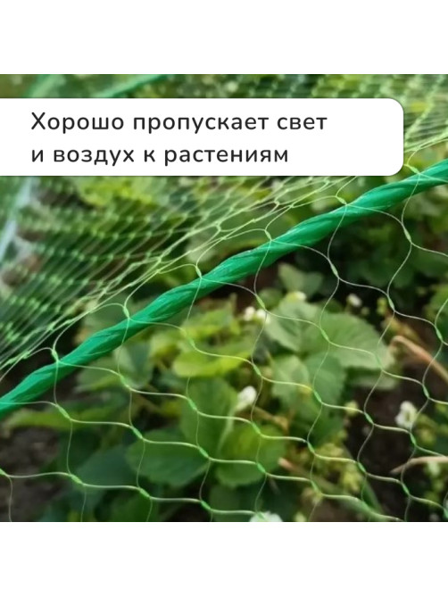 Сетка садовая, мягкая, 5×4 м, ячейка 15×15 мм, от птиц, Greengo