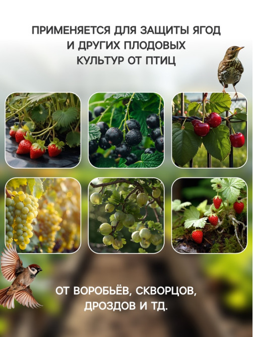 Сетка садовая, 2×5 м, ячейка ромб 0.6×0.6 см, от птиц, пластиковая, цвет МИКС, Greengo, в рулоне