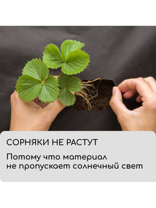 Материал мульчирующий, с перфорацией, 10×1.6 м, плотность 80 г/м², спанбонд с УФ-стабилизатором, чёрный, Greengo, Эконом 30%