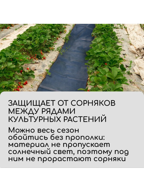 Полоса защитная для междурядий, 5×0.3, плотность 80 г/м², спанбонд с УФ-стабилизатором, чёрная, Greengo, Эконом 30%