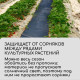Полоса защитная для междурядий, 5×0.3, плотность 80 г/м², спанбонд с УФ-стабилизатором, чёрная, Greengo, Эконом 30%