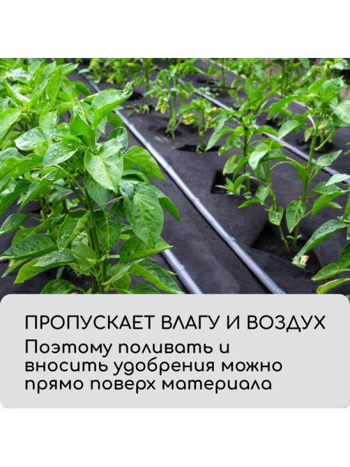 Материал мульчирующий, с перфорацией (4 ряда), 20×1.6 м, плотность 80 г/м², спанбонд с УФ-стабилизатором, чёрный, Greengo, Эконом 30%