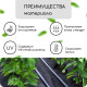 Материал мульчирующий, с перфорацией, 10×0.8 м, плотность 80 г/м², спанбонд с УФ-стабилизатором, чёрный, Greengo, Эконом 30%