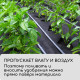 Материал мульчирующий, 5×0.8 м, плотность 80 г/м², с УФ-стабилизатором, чёрный, Greengo, Эконом 30%