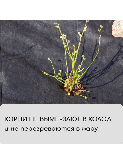 Материал мульчирующий, 10×3.2 м, плотность 80 г/м², спанбонд с УФ-стабилизатором, чёрный, Greengo, Эконом 30%
