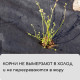 Материал мульчирующий, 10×3.2 м, плотность 80 г/м², спанбонд с УФ-стабилизатором, чёрный, Greengo, Эконом 30%