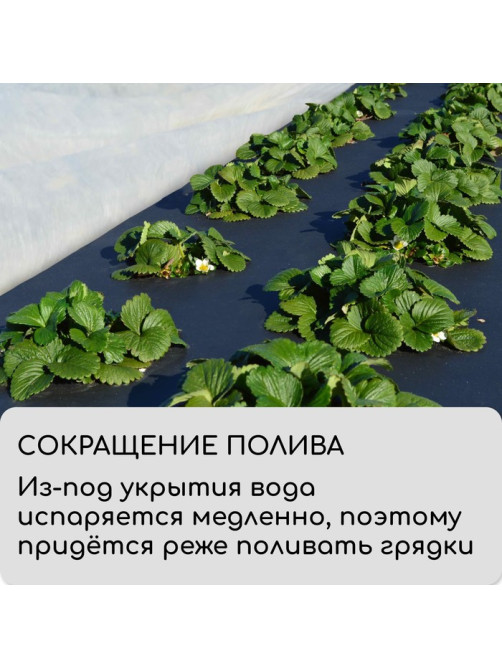 Материал мульчирующий, 5×3.2 м, плотность 60 г/м², спанбонд с УФ-стабилизатором, чёрный, Greengo, Эконом 30%