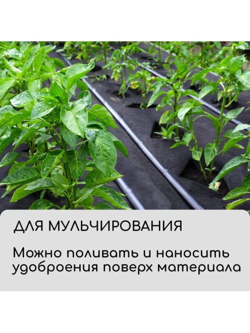 Материал для ландшафтных работ, 10×3.2 м, плотность 120 г/м², спанбонд с УФ-стабилизатором, чёрный, Greengo, Эконом 30%