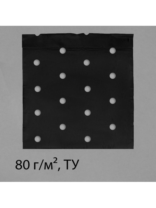 Материал мульчирующий, с перфорацией, 10×1.6 м, плотность 80 г/м², спанбонд с УФ-стабилизатором, чёрный, Greengo, Эконом 30%