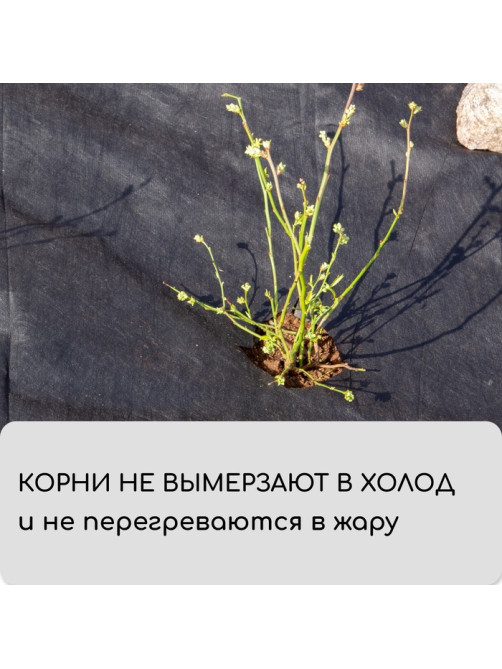 Материал мульчирующий, с перфорацией (4 ряда), 20×1.6 м, плотность 80 г/м², спанбонд с УФ-стабилизатором, чёрный, Greengo, Эконом 30%